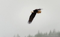 Alaska